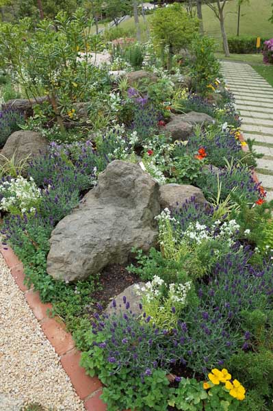 residential garden